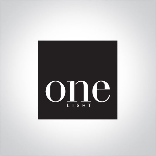 ONE Light Accessory 060020A